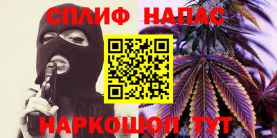 гидра Гатчина