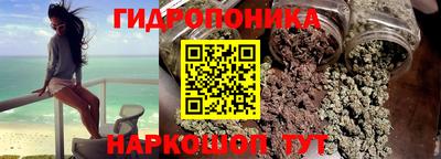 спиды Гагарин