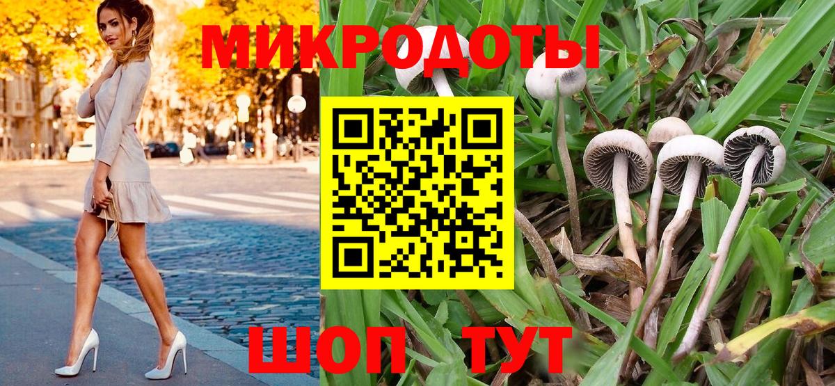 Галлюциногенные грибы Cubensis Камышлов