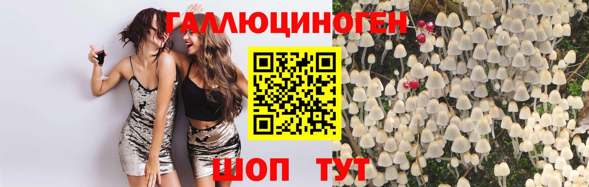 Галлюциногенные грибы мухоморы  Вход с VPN  Камышлов 