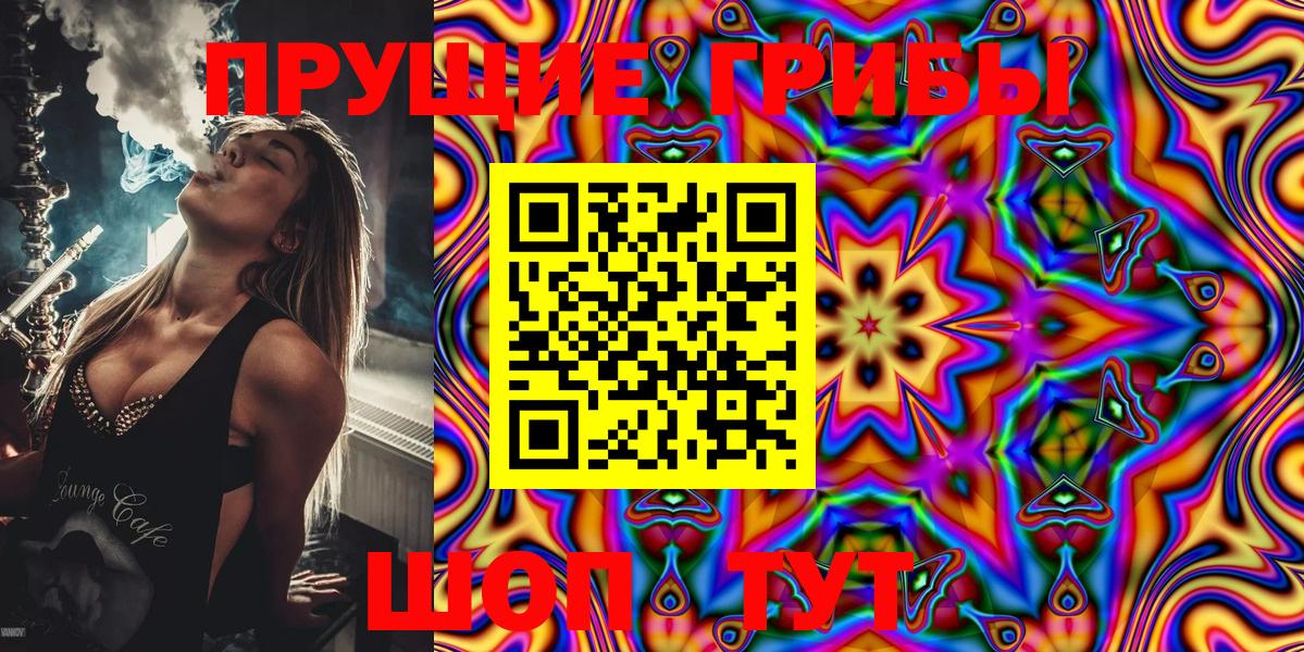 купить наркотики сайты  Псилоцибиновые грибы прущие грибы  Камышлов  Галлюциногенные грибы мухоморы 