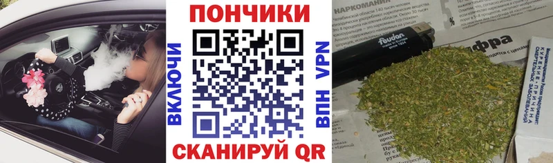 Конопля OG Kush наркошоп Камышлов