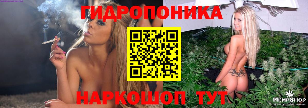 Каннабис индика Камышлов